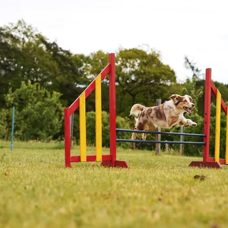 Hof Koehne - Haus Am Reitplatz 3er בית נופש שמאלנברג