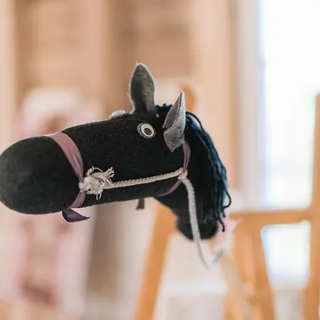 Hof Koehne - Haus Am Reitplatz 3er שמאלנברג