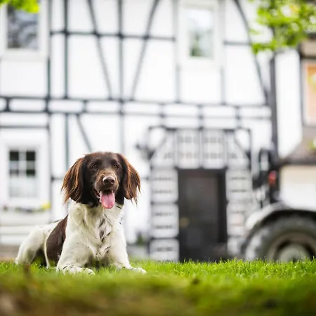 Hof Koehne - Haus Am Reitplatz 3er Vakantiehuis *