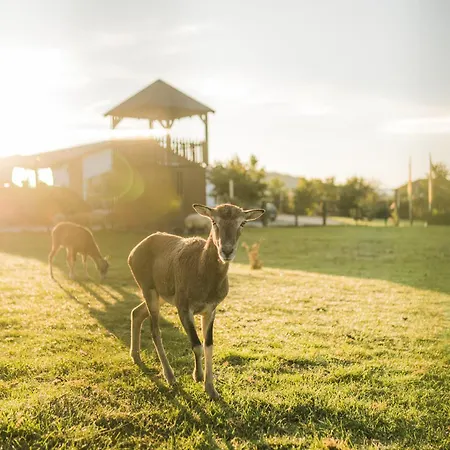 Hof Koehne - Haus Am Reitplatz 3er * שמאלנברג