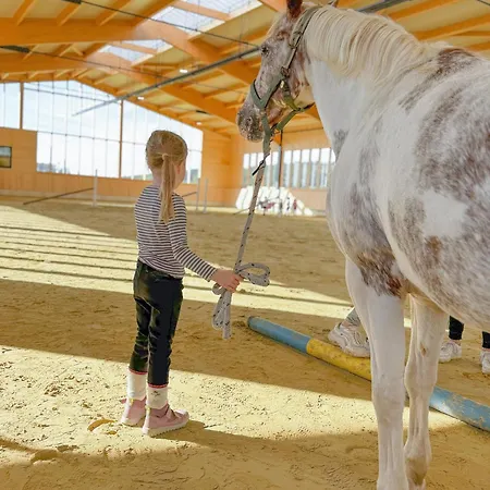 בית נופש Hof Koehne - Haus Am Reitplatz 3er