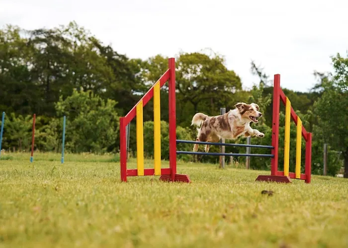 Hof Koehne - Haus Am Reitplatz 3er Сasa de vacaciones Schmallenberg