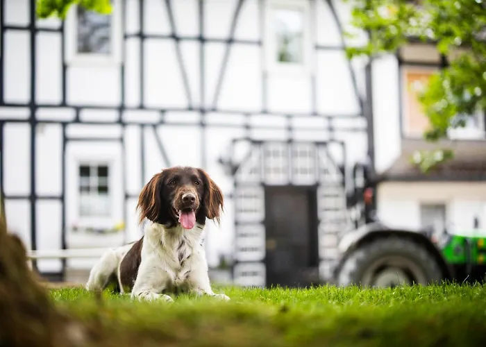 Hof Koehne - Haus Am Reitplatz 3er Сasa de vacaciones *