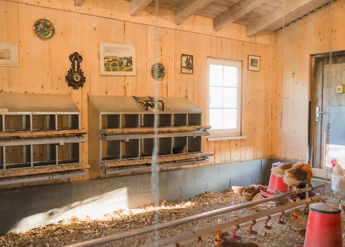 Сasa de vacaciones Hof Koehne - Haus Am Reitplatz 3er